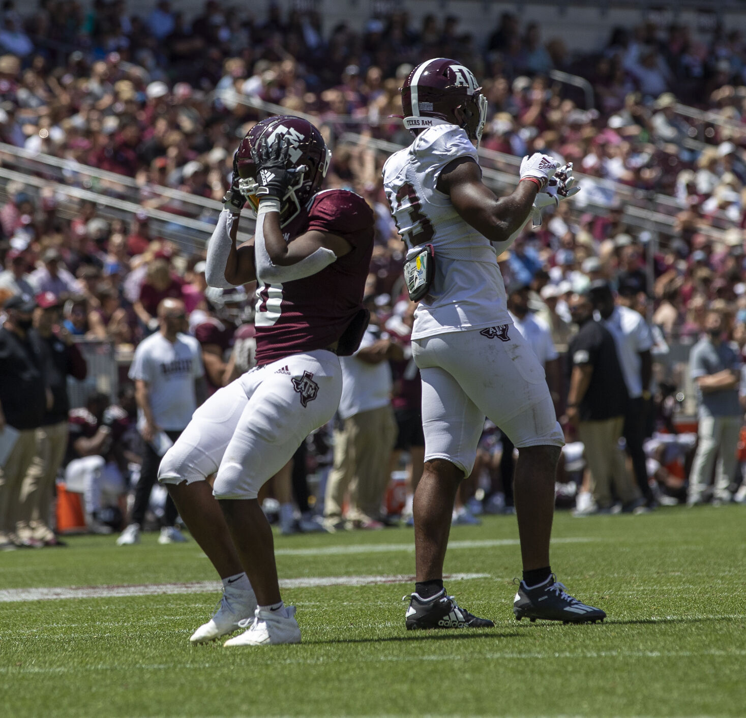 Maroon & White